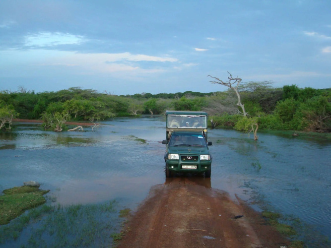 Explorer by Eco Team - Bundala
