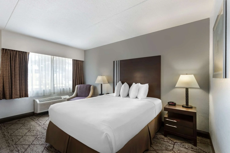 Standard Double room