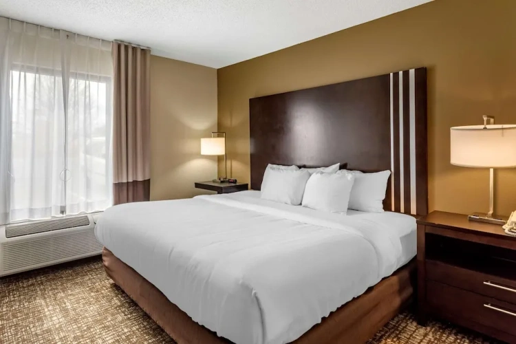 Business Double Suite