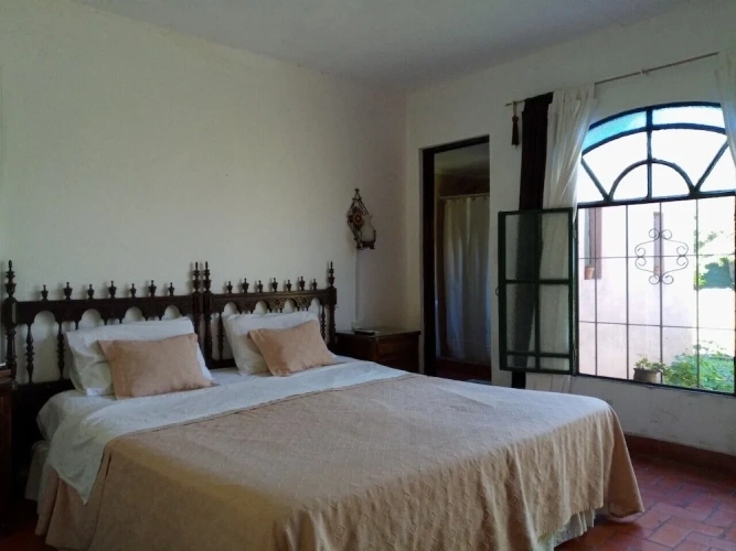 Superior Double room with park view