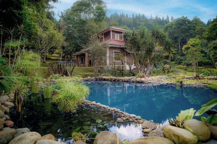 Standard Villa with garden view
