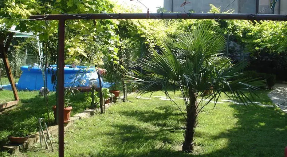 Georgiev Guest House