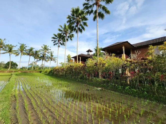 2 Bedrooms Single Villa