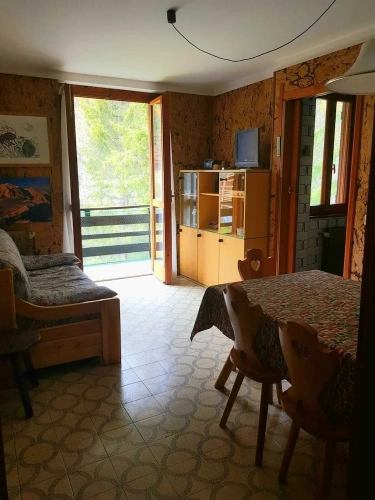 1 Bedroom Apartment with balcony and with mountain view