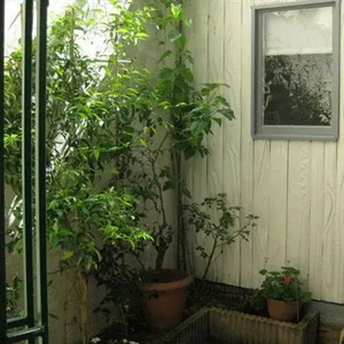 Vacation Rental Saint Jacques