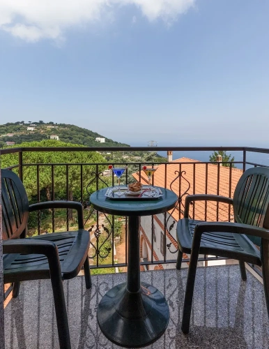 Standard Double room with balcony and with sea view