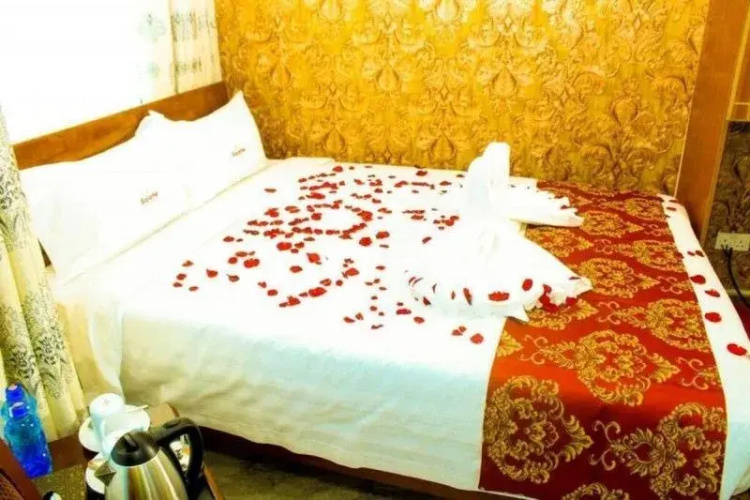 Salehe Safaris Hotel