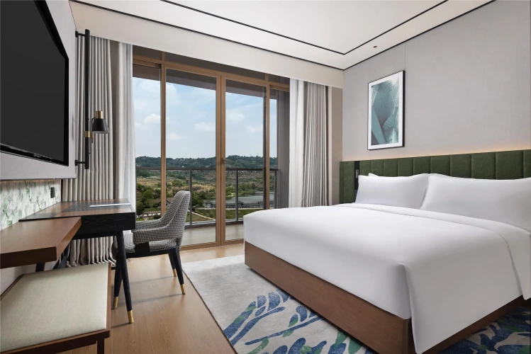 1 Bedroom Suite
