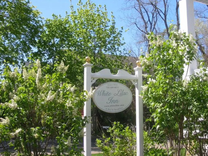 White Lilac Inn