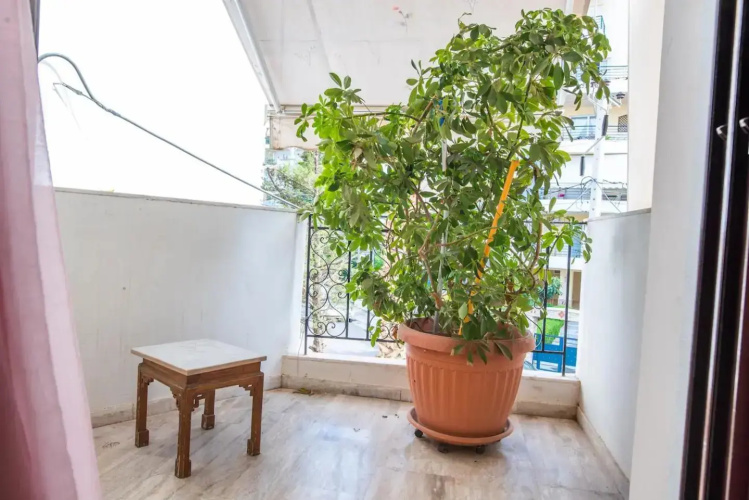 Sunny Apartment