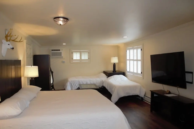 Standard Quadruple room with view