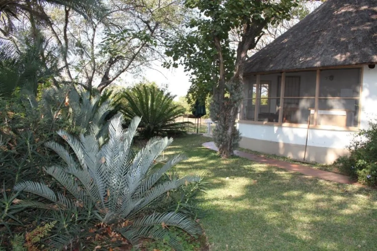 Bungalow with view