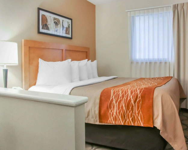 Comfort Inn South photo 6