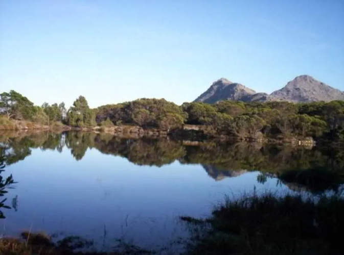 Glen Craig