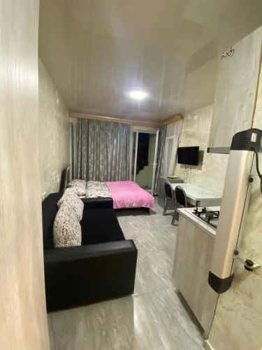 Apartment studio maksim