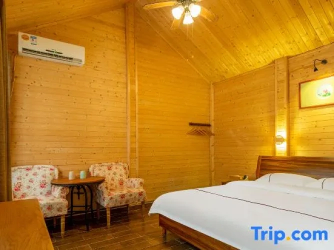 Standard Double room with view