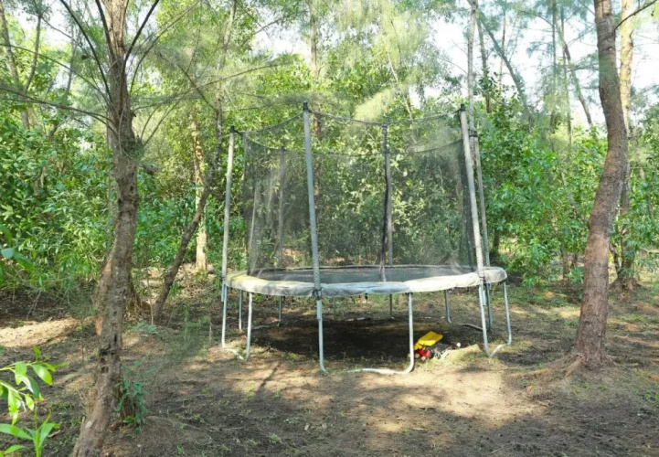 Hotel Jungle Camp