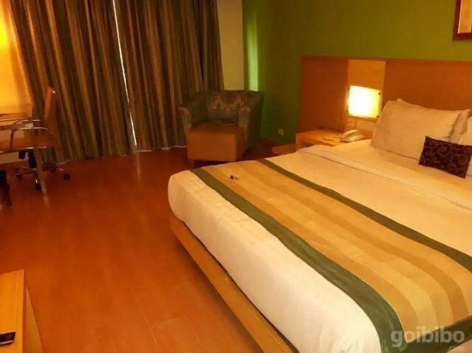 Hotel Mint Park Maple