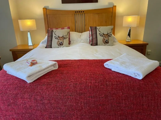 Standard Double room with garden view
