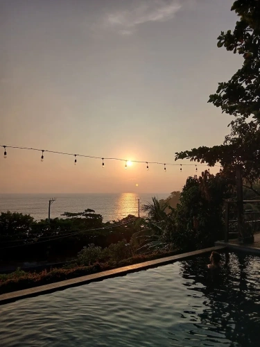 1 Bedroom Standard Basement Apartment with pool view