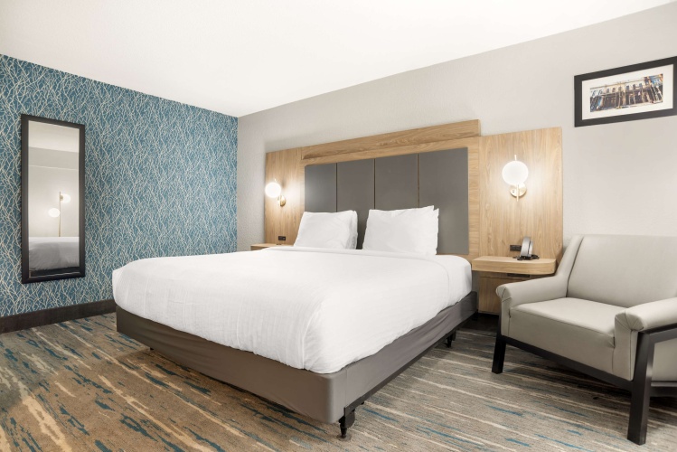 1 Bedroom Standard Double room