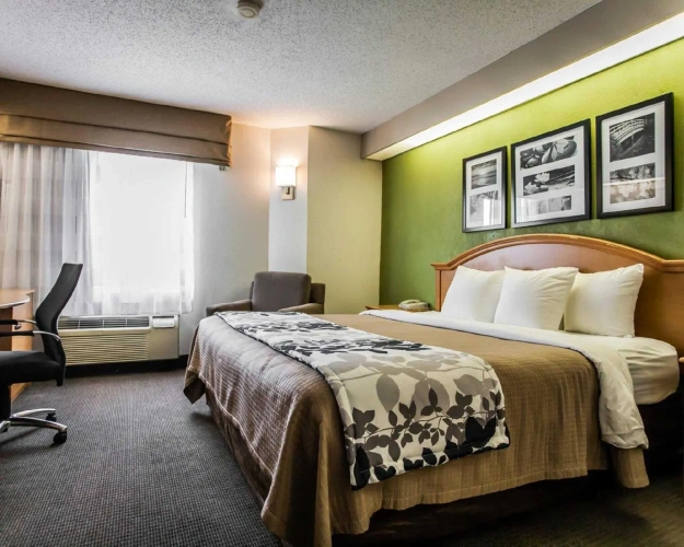 Standard room