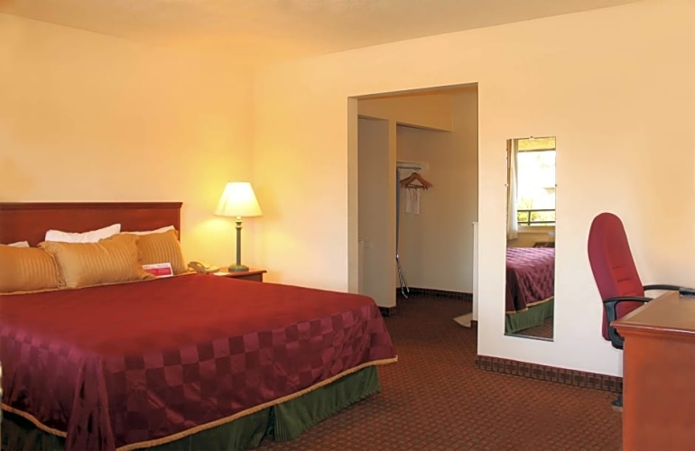 1 Bedroom Double Suite