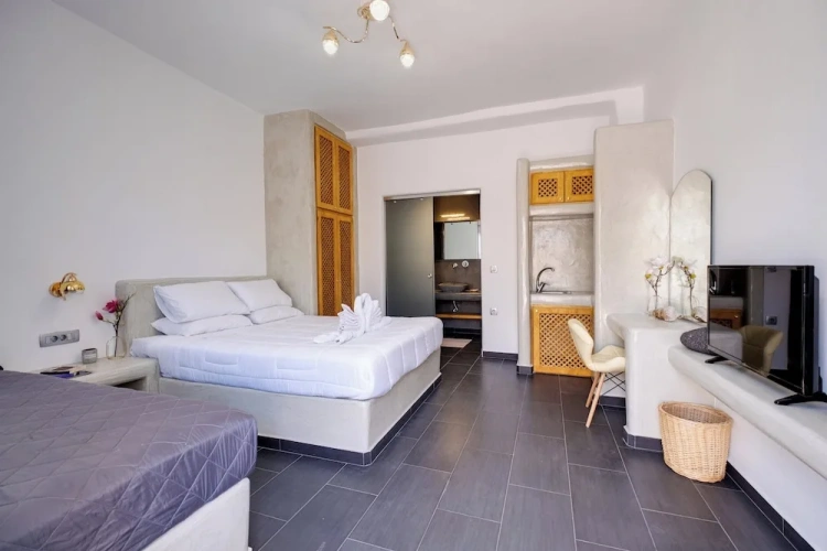 Luxury Studio