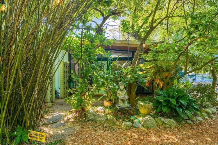 Zen Studio at Lotus Garden Cafe