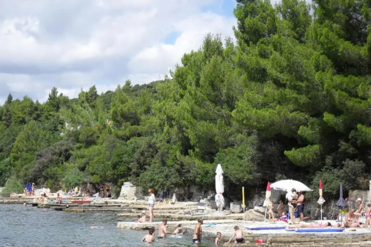 Apartments Delfin