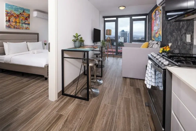Deluxe Apartment