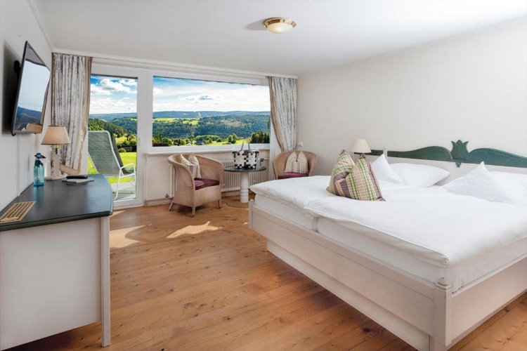 Classic Double room with panoramic view