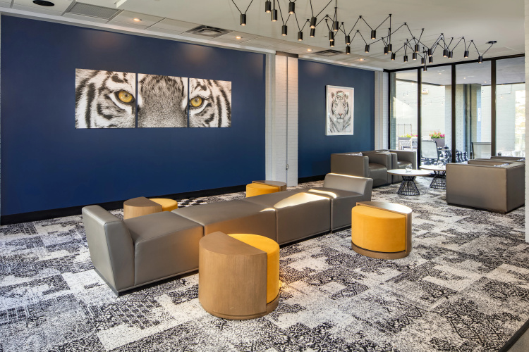 Hotel Indigo Chattanooga - Downtown photo 16