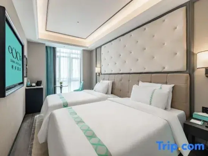 Deluxe Twin room with city view