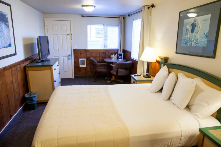 City Centre Motel by OYO