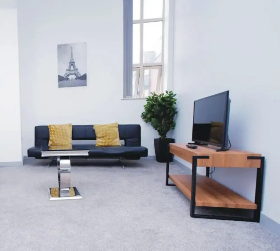 Spacious Urban City Apartment