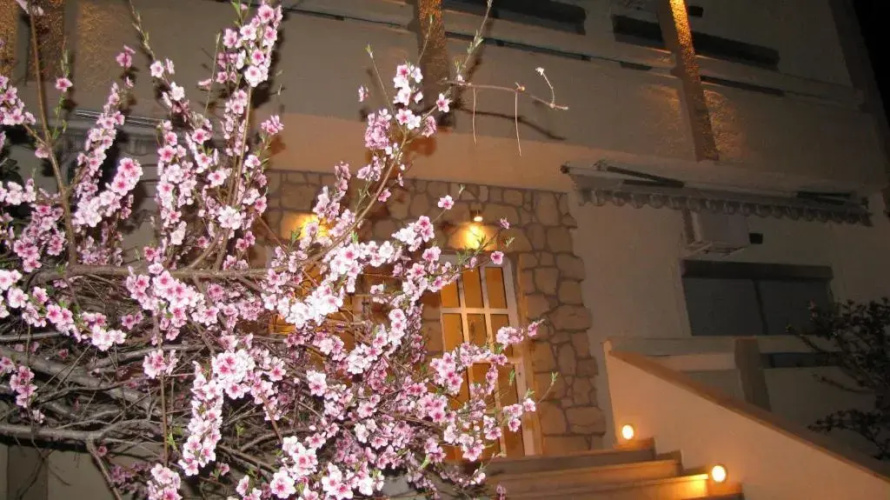 Villa Kokkinos