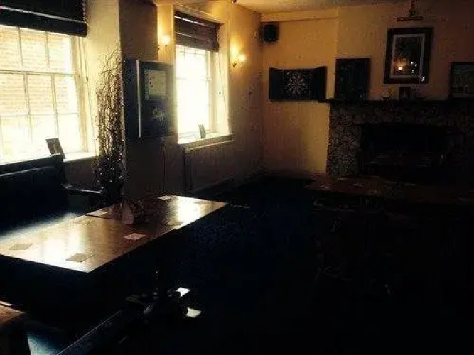 The Swan