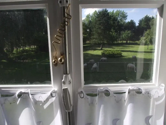 Standard Double room with garden view