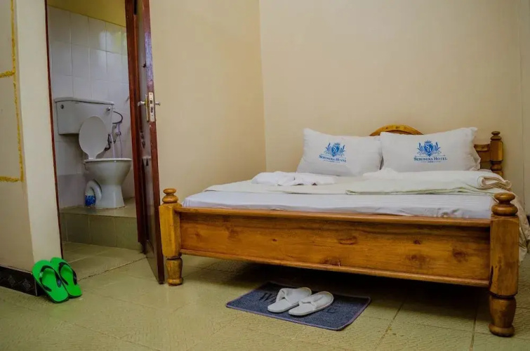 Seronera Hotel