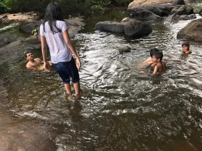 Palatty's Resort