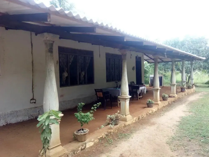 Yoho Mango Tree Home Stay & Hostel