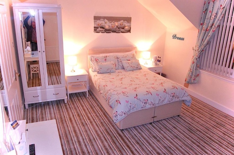 Standard Twin room with view