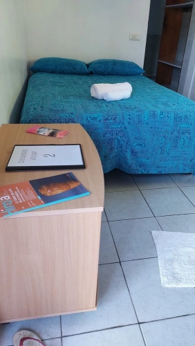 Standard Double room with garden view