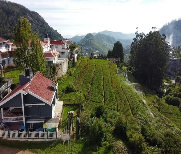 Premium Villa