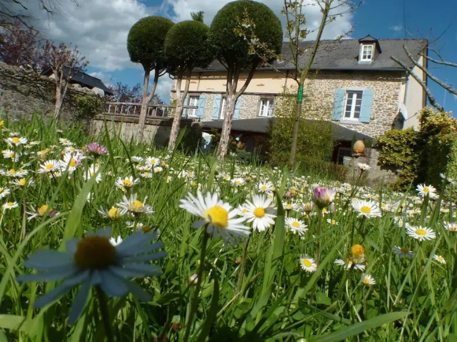 Maison de Faveri