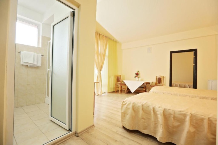 Standard Double room with balcony and with view