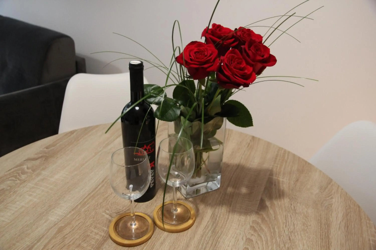 Vana apartment Zagreb