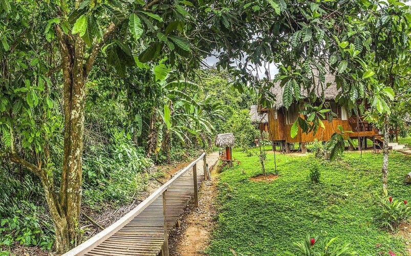 Tambopata EcolodgeOver view