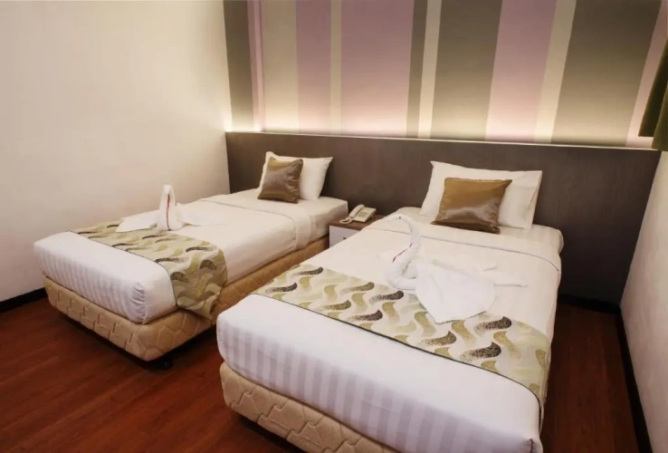 Deluxe Twin room
